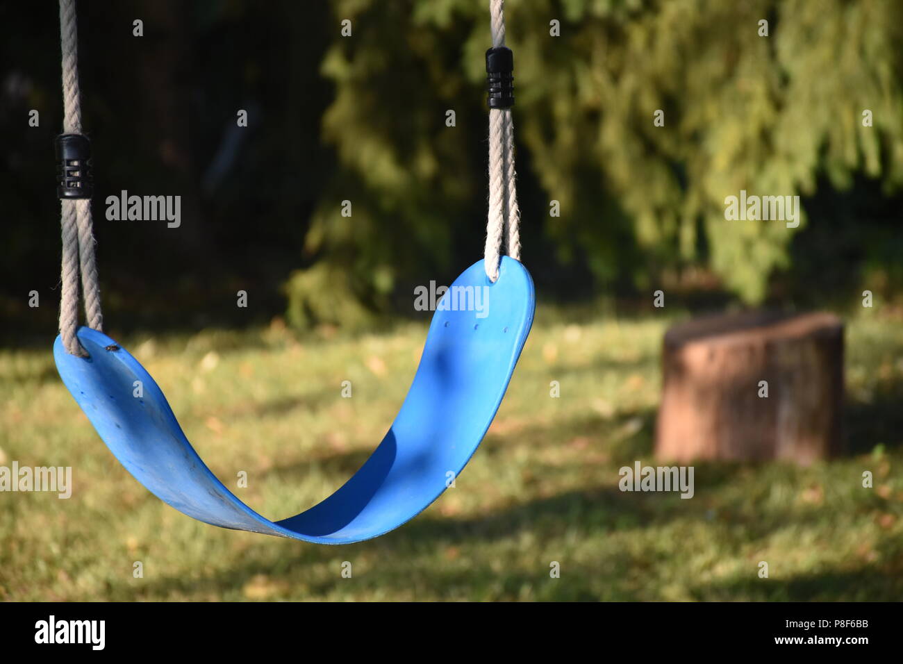 Swing hanging from the tree in nature Stock Photo - Alamy