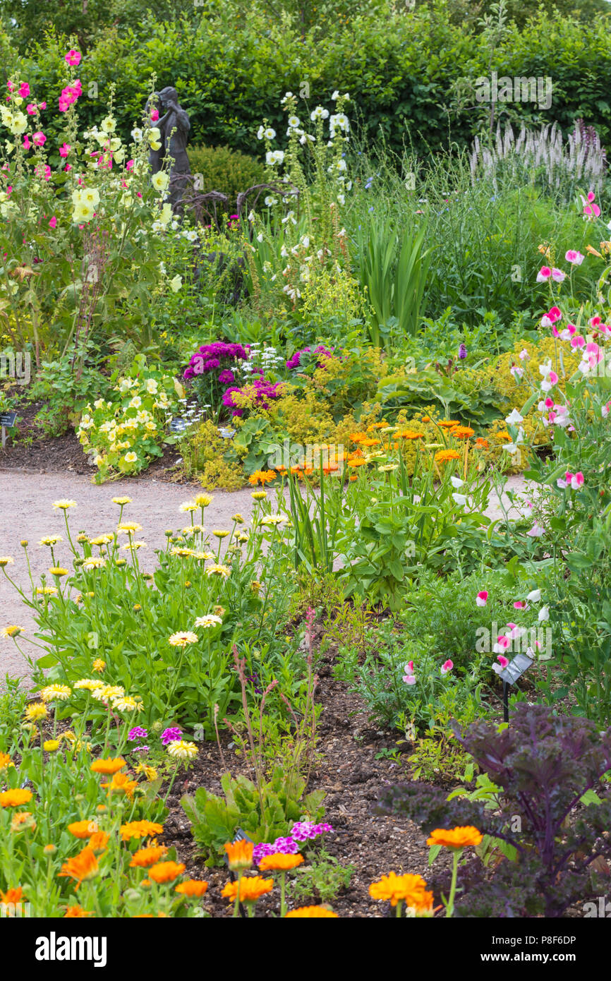 Mixed Bedding of Summer Perennials in Cottage Garden at RHS Hyde Hall