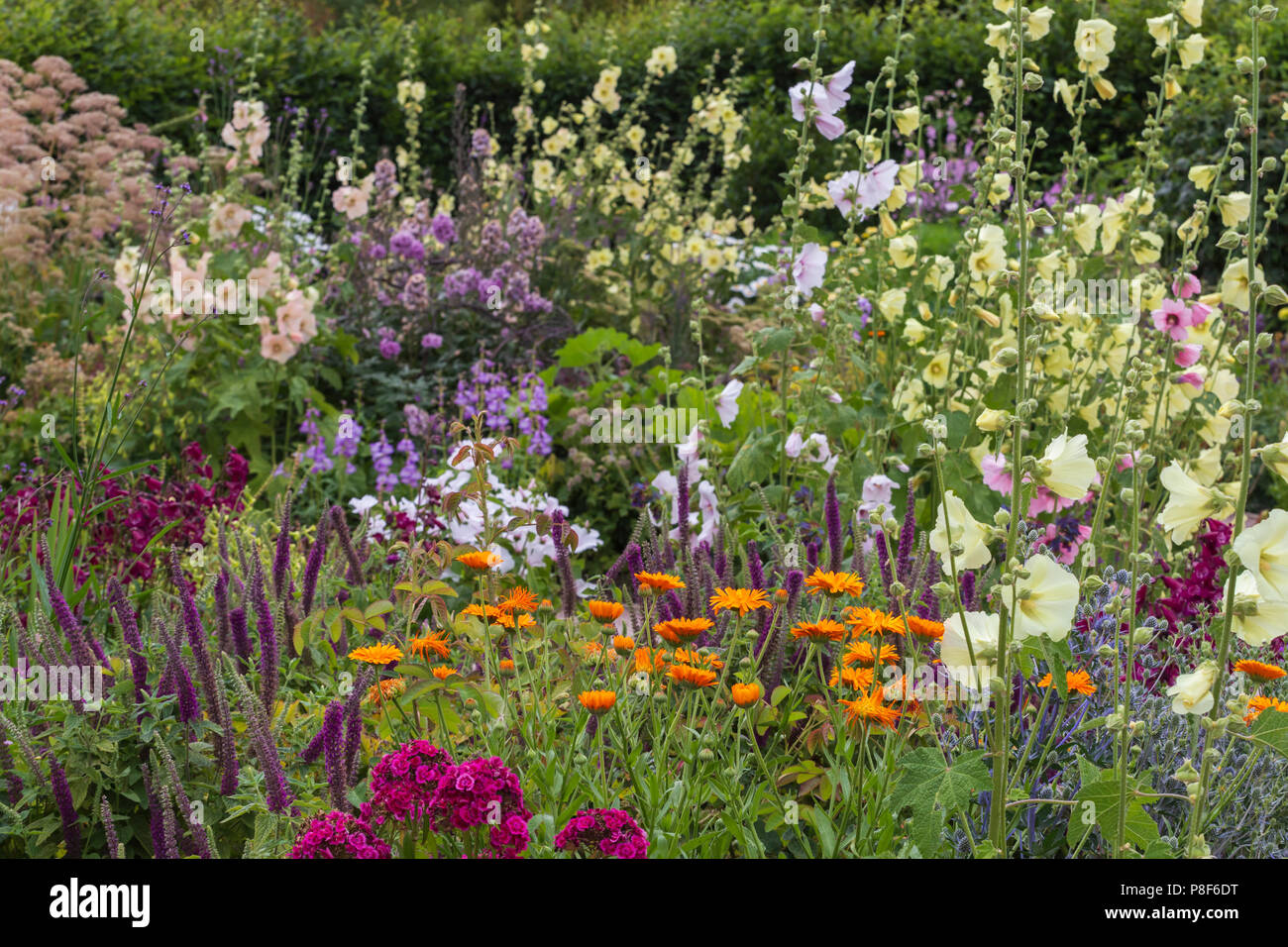 Mixed Bedding of Summer Perennials in Cottage Garden at RHS Hyde Hall