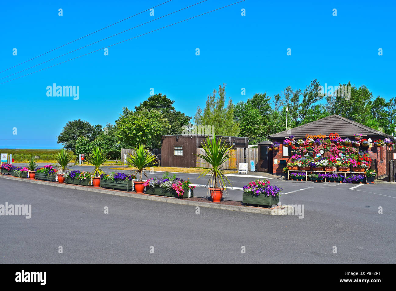 Beauttiful floral displays and hanging baskets at the Reception Office , Gowerton Caravan