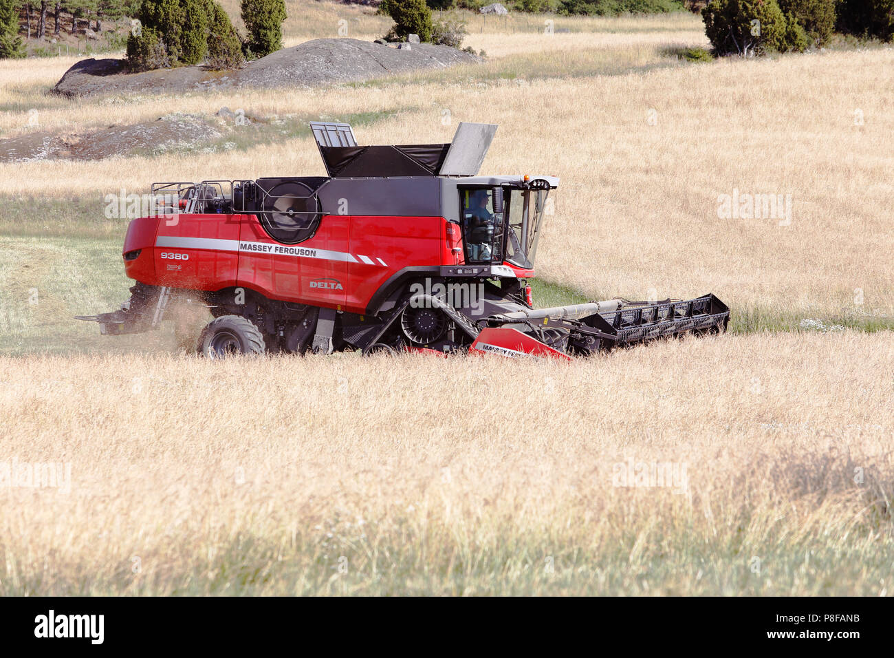 Massey Ferguson Harvest Hi Res Stock Photography And Images Alamy