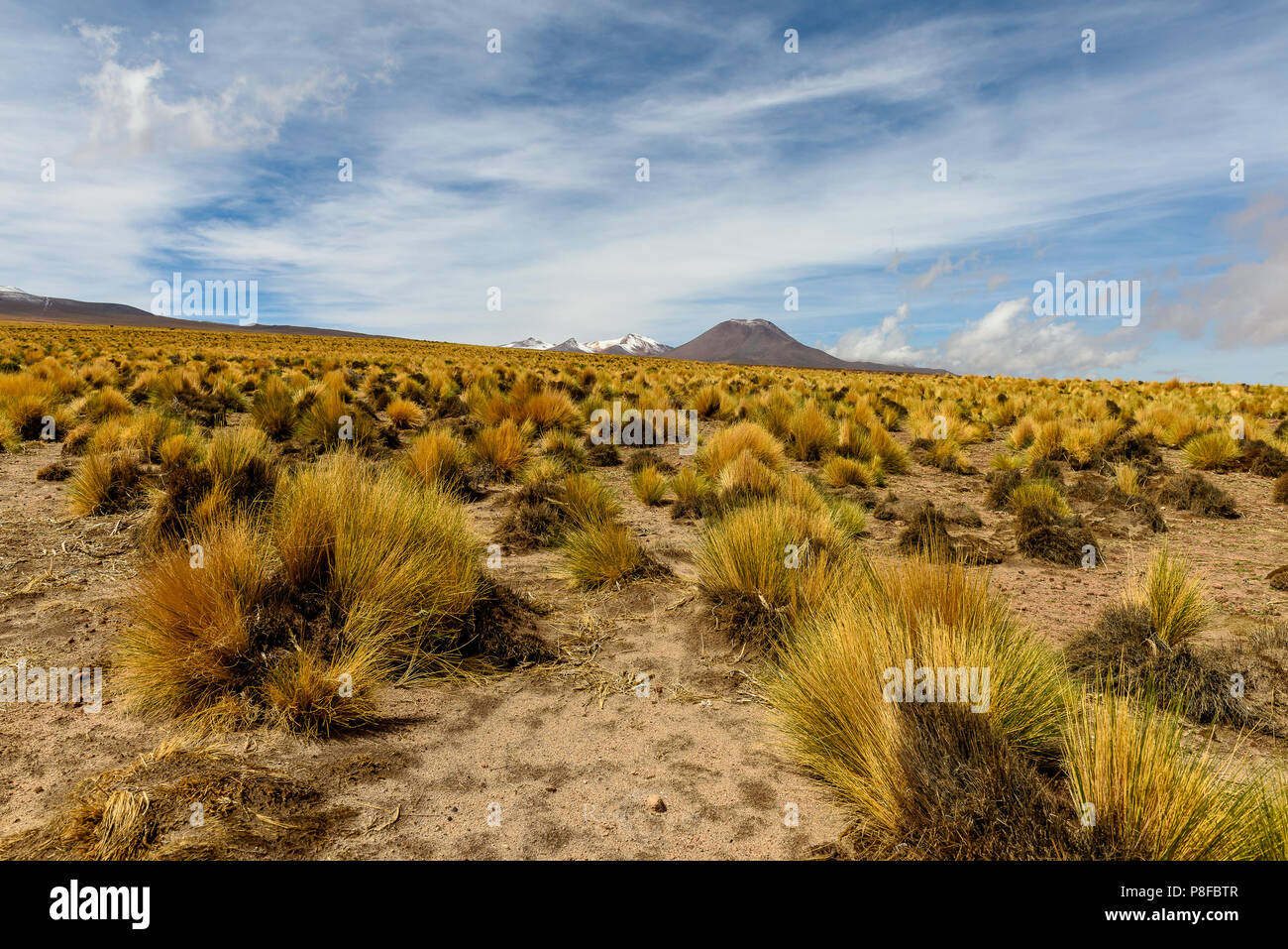 Mountain landscape, San Pedro de Atacama, Antofagasta, Chile Stock Photo