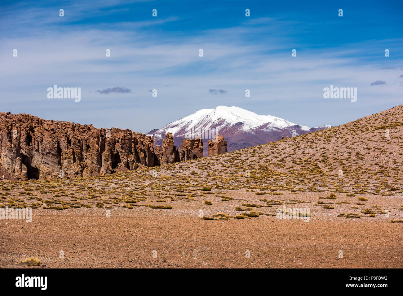 Andes mountain view from the Tara salt flat, San Pedro de Atacama, Antofagasta, Chile Stock Photo