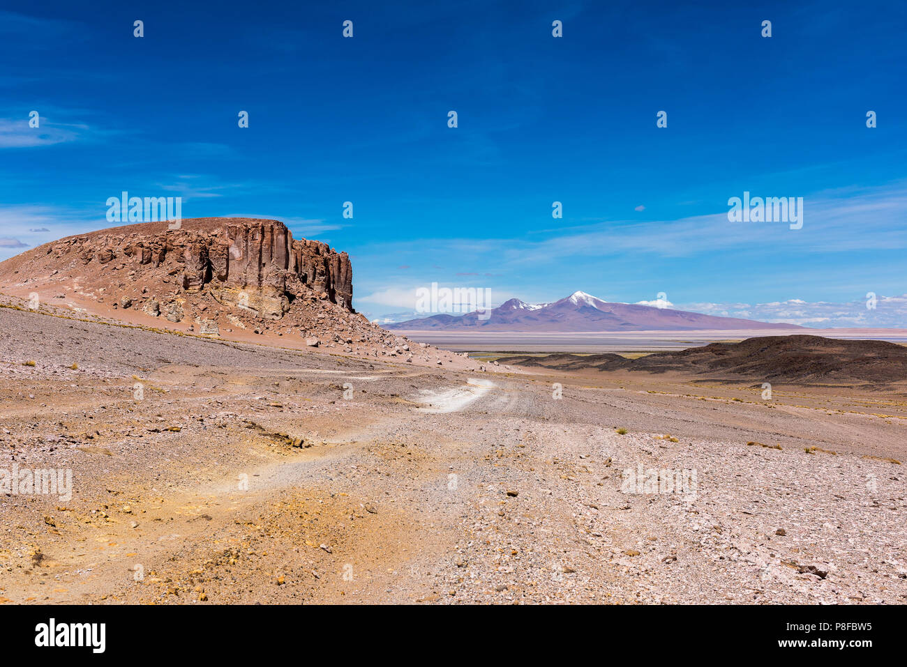 Mountain road, Salar de Tara, San Pedro de Atacama, Antofagasta, Chile Stock Photo