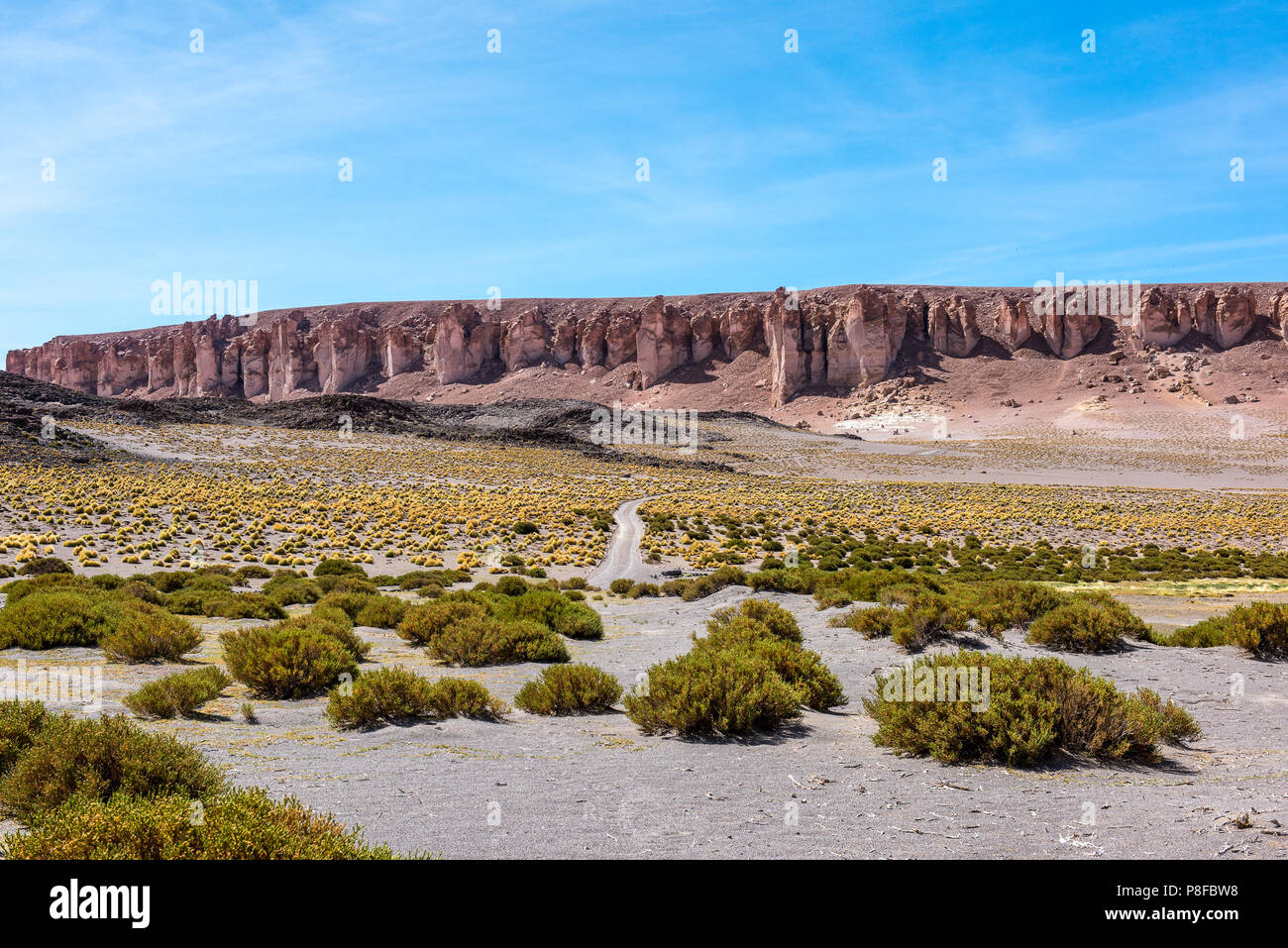 Road towards Tarra Cathedral rock formations, Paso de Jama, San Pedro de Atacama, Antofagasta, Chile Stock Photo