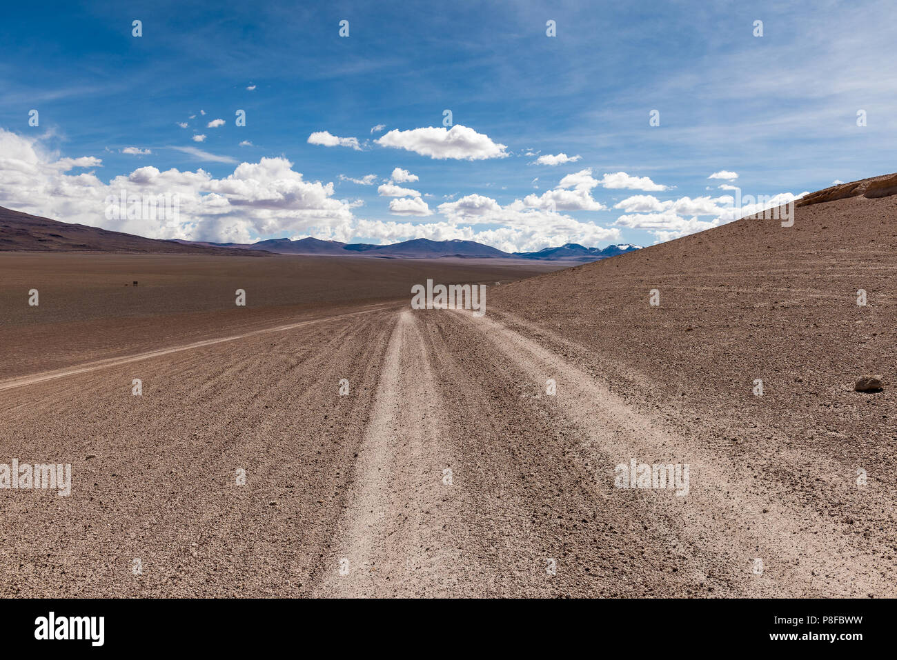 Mountain road, Salar de Tara, San Pedro de Atacama, Antofagasta, Chile Stock Photo