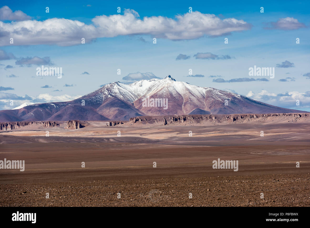 Zapaleri volcano, Paso de Jama, Susques, Jujuy, Argentina Stock Photo