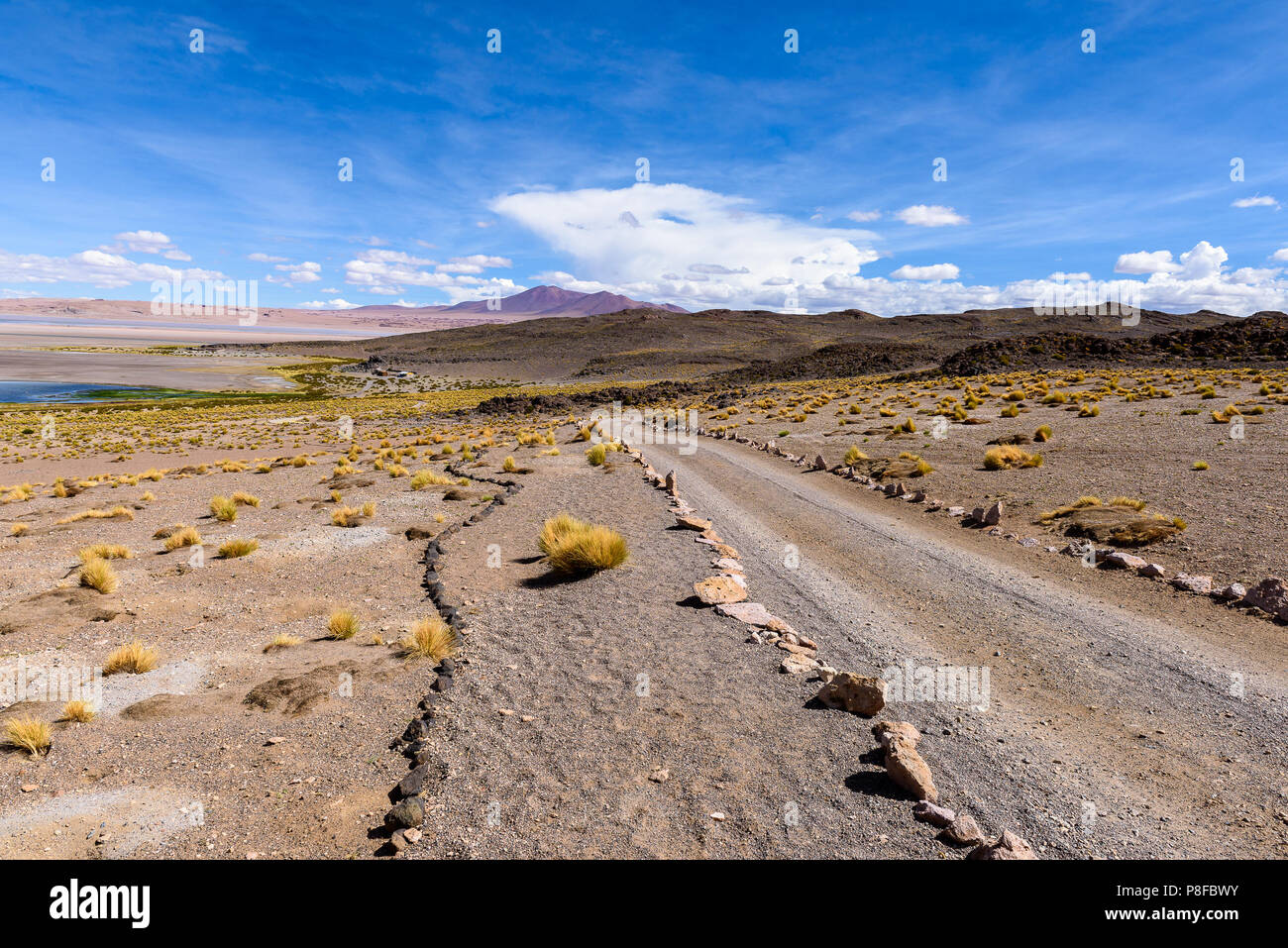 Mountain road, Salar de Tara, San Pedro de Atacama, Antofagasta, Chile Stock Photo