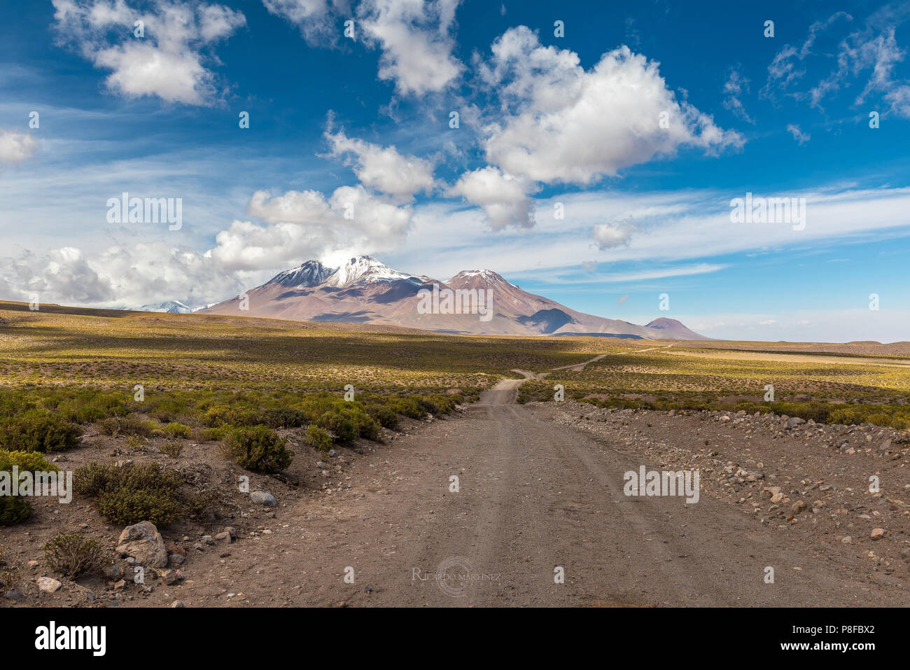 Road towards the Lascar Volcano, Socaire, El Loa, Antofagasta, Chile Stock Photo