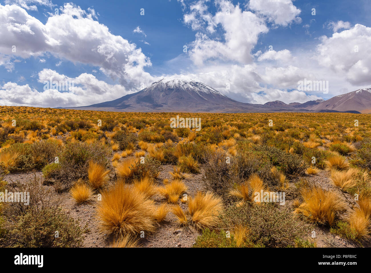 Mountain landscape, Socaire, El Loa, Antofagasta, Chile Stock Photo