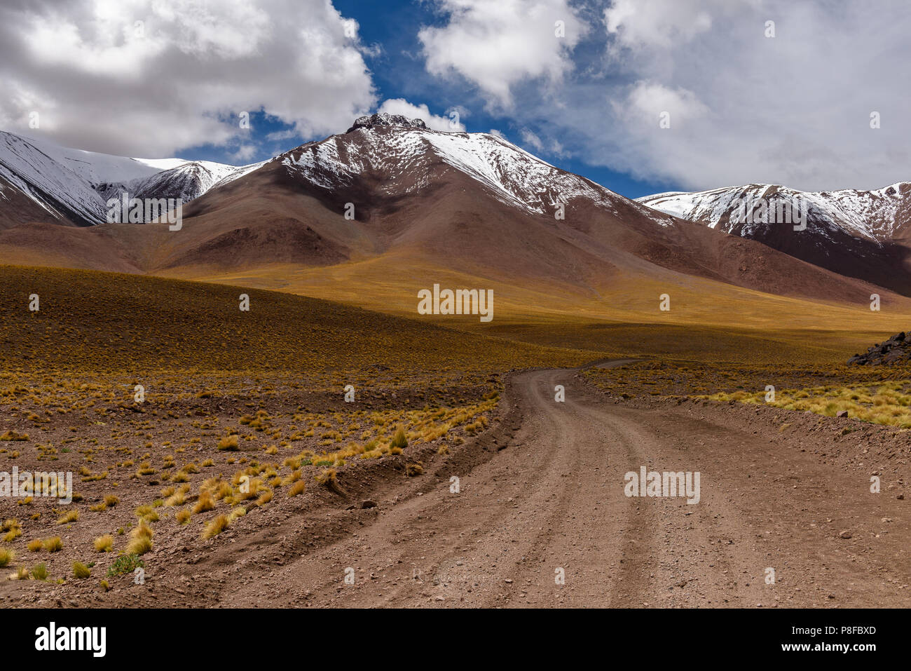Road through Mountain landscape towards Lejla Lagoon, Socaire, El Loa, Antofagasta, Chile Stock Photo