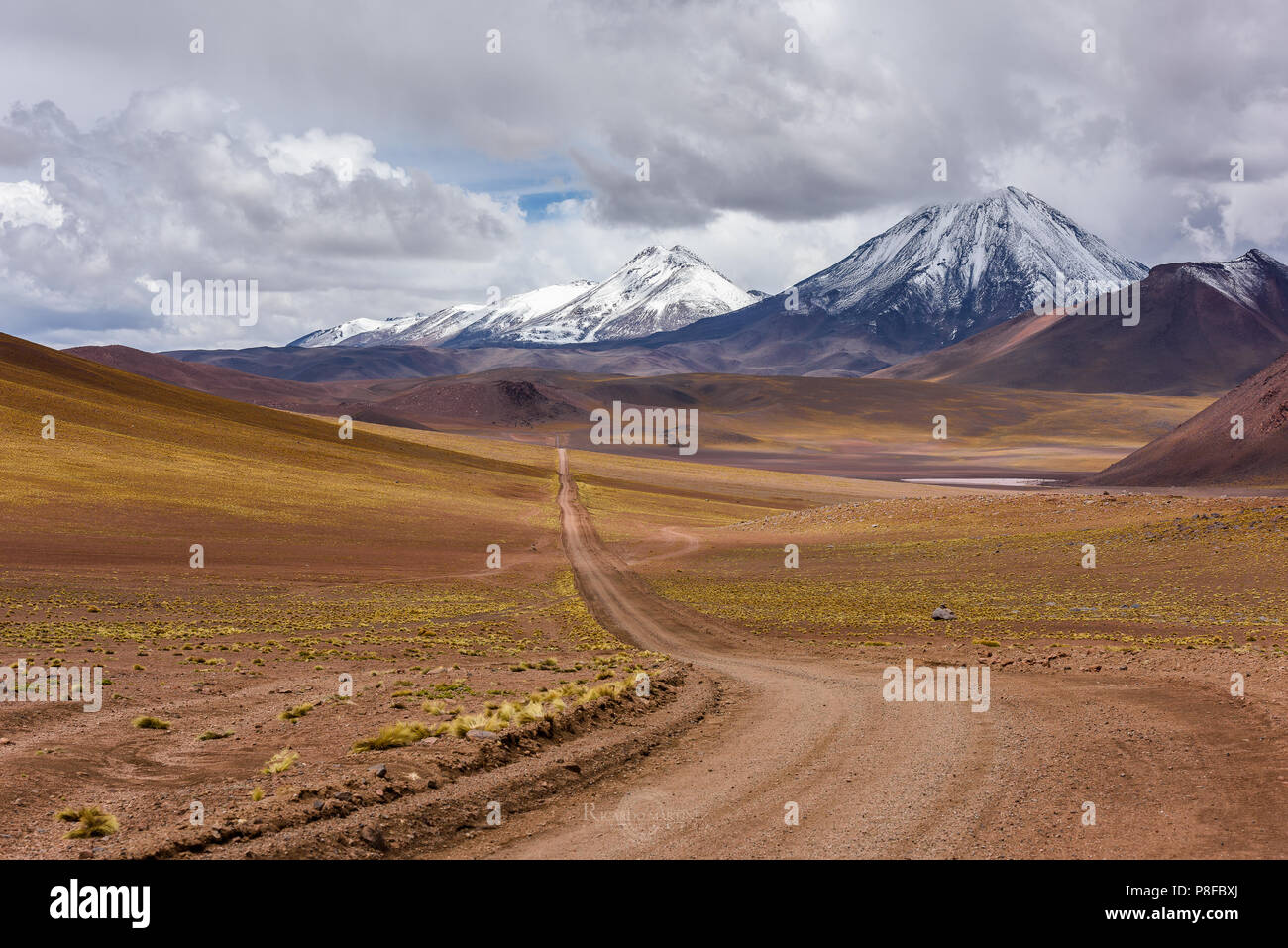 Road through Mountain landscape towards Lejla Lagoon, Socaire, El Loa, Antofagasta, Chile Stock Photo