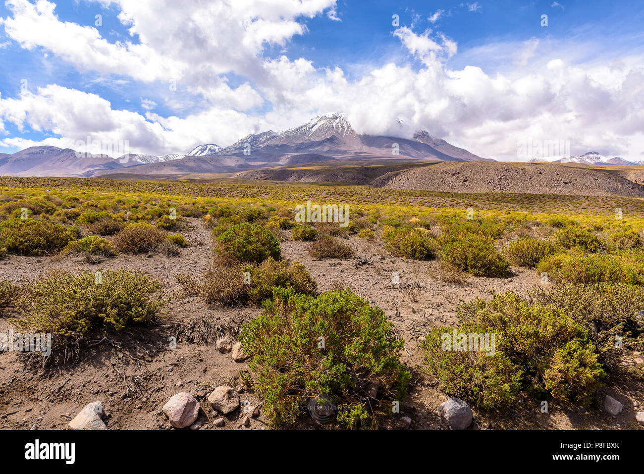 Mountain landscape, San Pedro de Atacama, Antofagasta, Chile Stock Photo