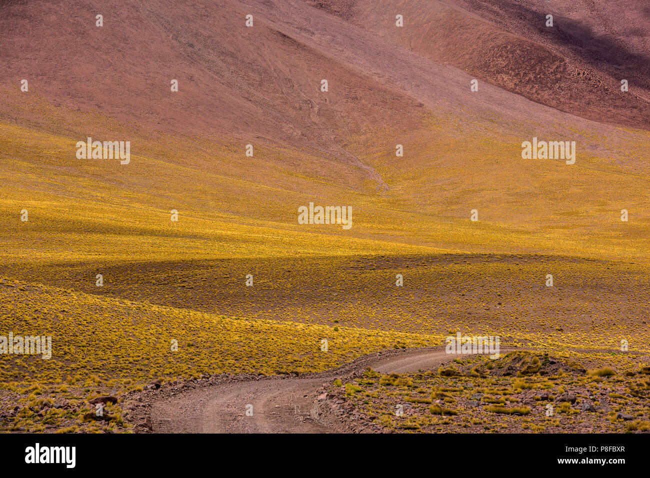 Desert road through the mountains, San Pedro de Atacama, Antofagasta, Chile Stock Photo