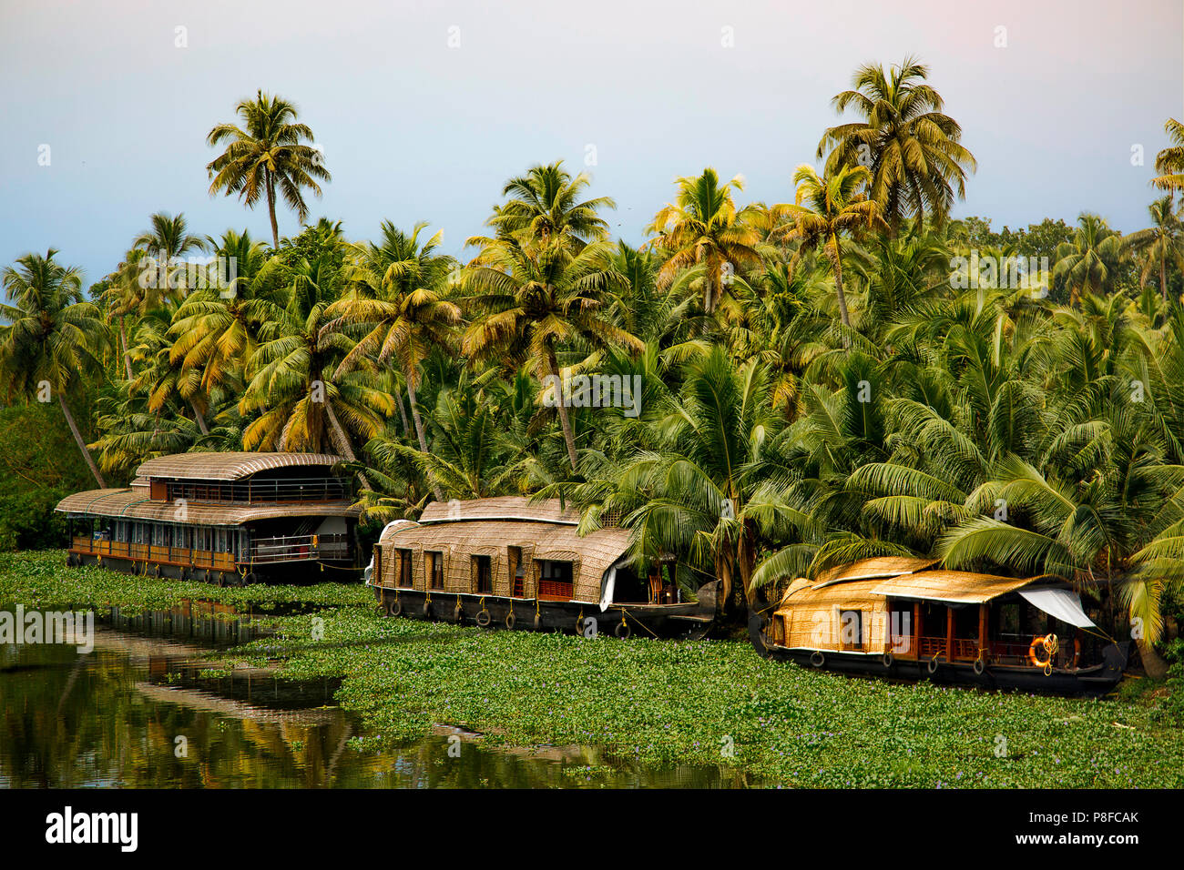 Houseboats on Vembanad Lake, Kerala, India Stock Photo