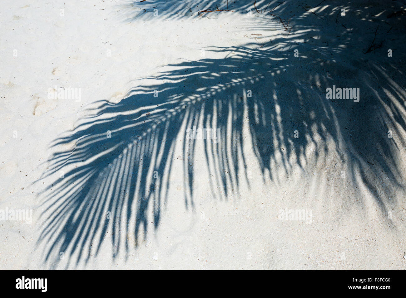 Beauty shadow hi-res stock photography and images - Alamy