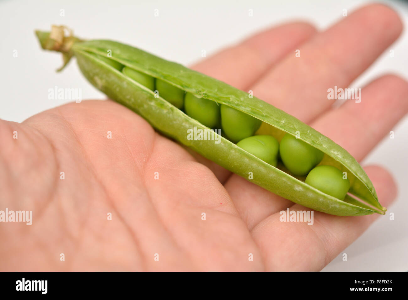 Hand picked locally grown fresh peas in a pod Stock Photo Alamy