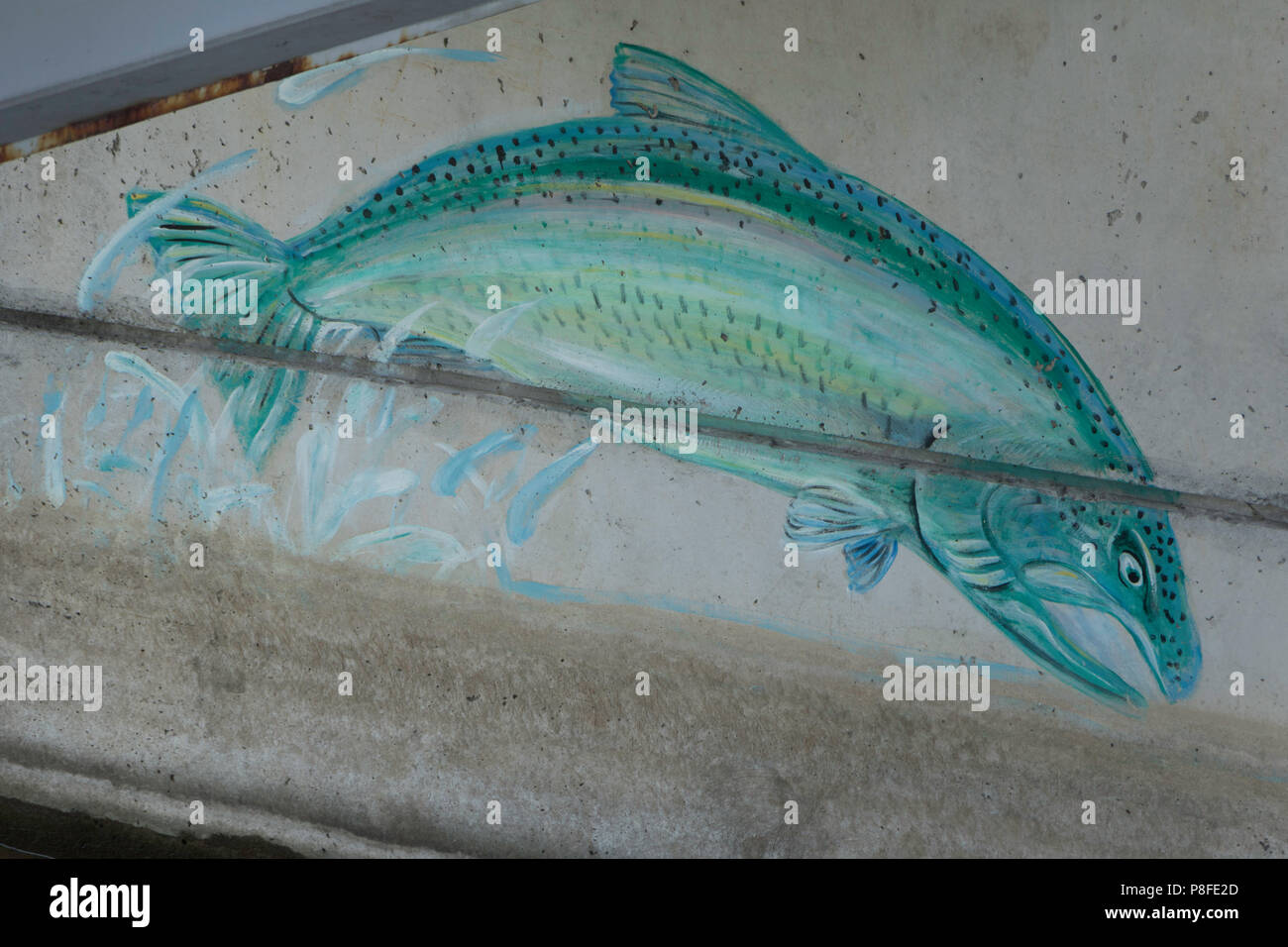 Fish Graffiti Art on Credit River Bridge in Port Credit, Mississauga, Ontario Stock Photo