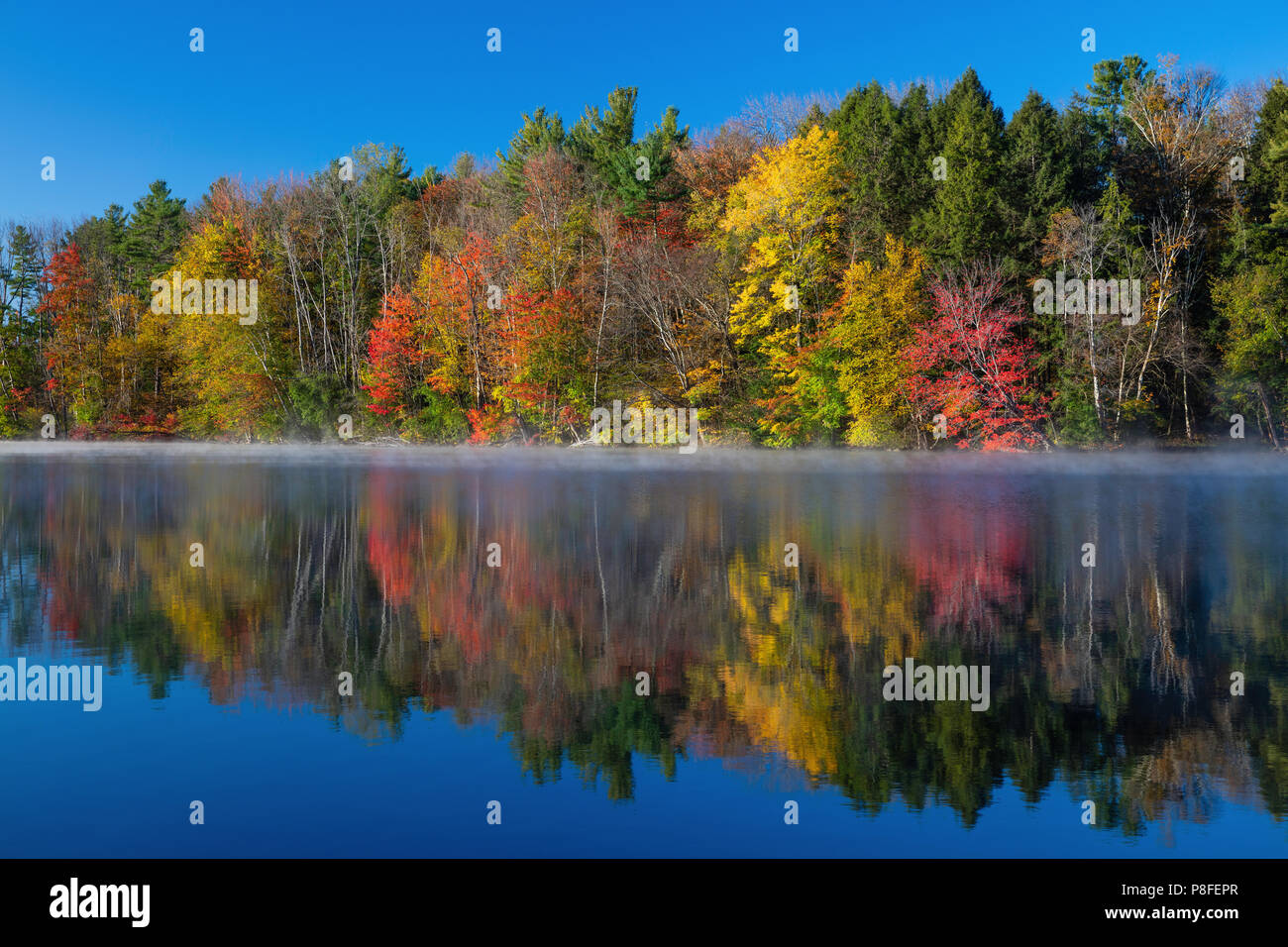 Fall foliage reflected in Laurel Lake, Lee, Massachusetts Stock Photo Alamy