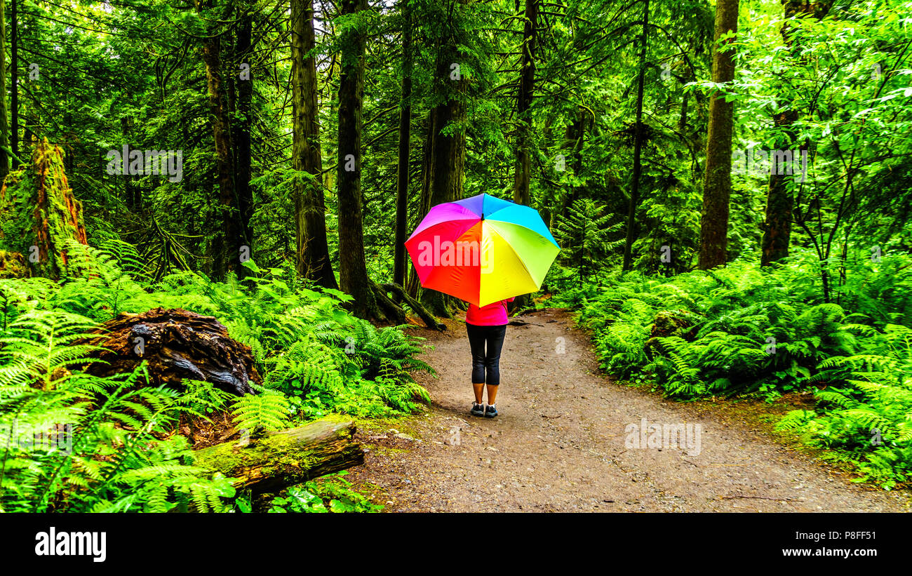 Woman with a Rainbow Umbrella hiking in Bridal Veil Falls Provincial Park between the towns of Chilliwack and Hope in British Columbia, Canada Stock Photo