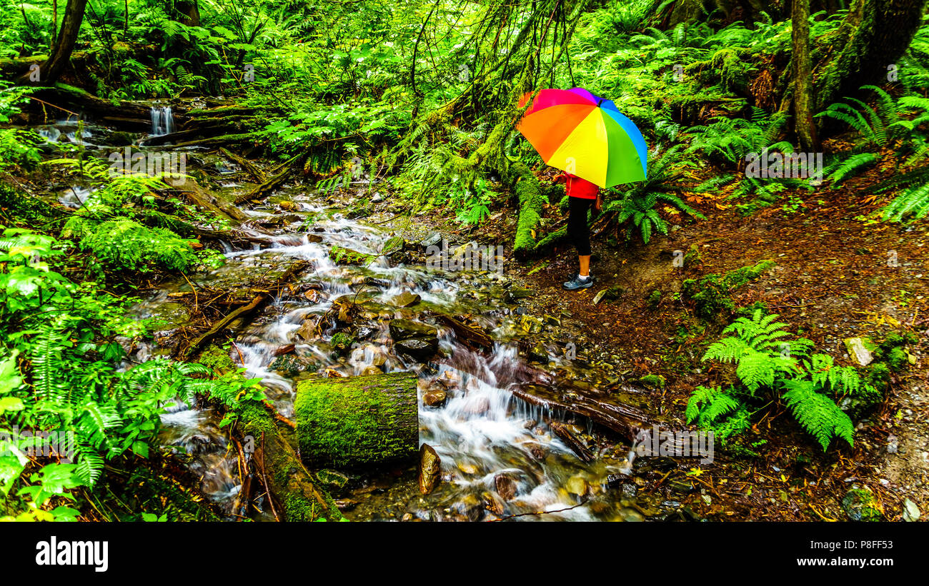 Woman with a Rainbow Umbrella at a creek in Bridal Veil Falls Provincial Park between the towns of Chilliwack and Hope in British Columbia, Canada Stock Photo