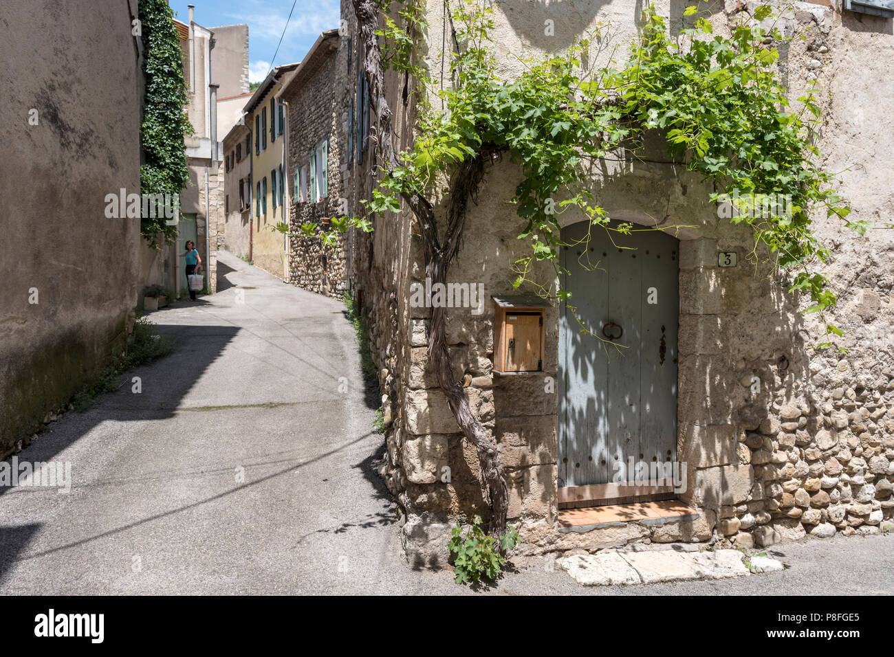 old house covered with vine in the medieval town of riez in french provence on sunny summer day Stock Photo