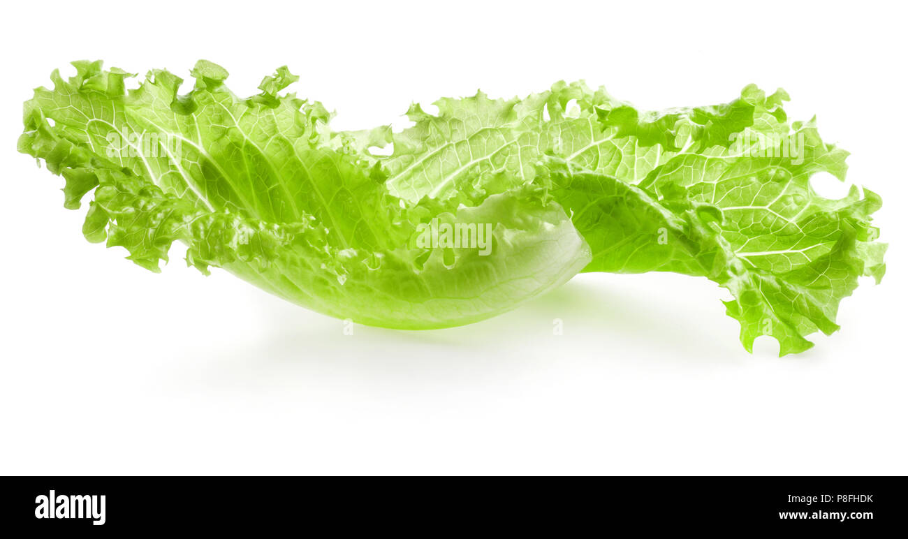 Lettuce isolated on white background Stock Photo