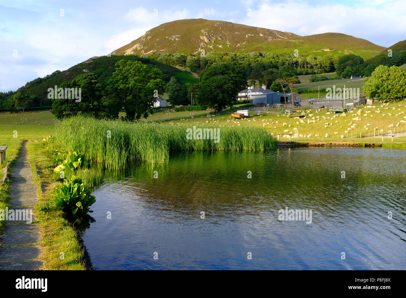 Fly fishing Graiglwyd Springs, Penmaenmawr, North Wales UK Stock Photo