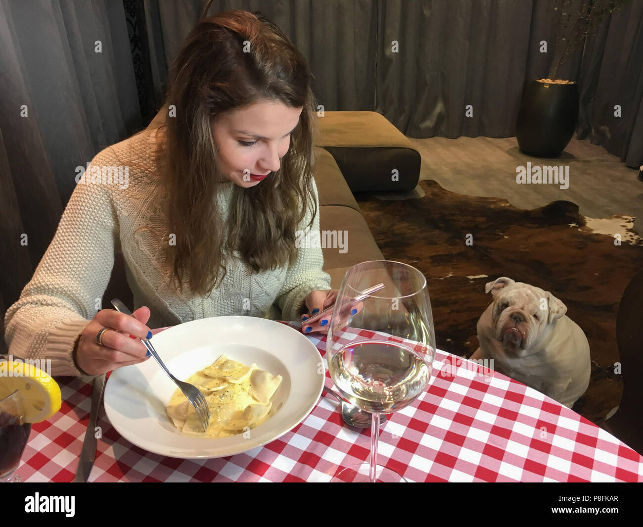 Woman using smartphone at dinner, looking pet. Stock Photo