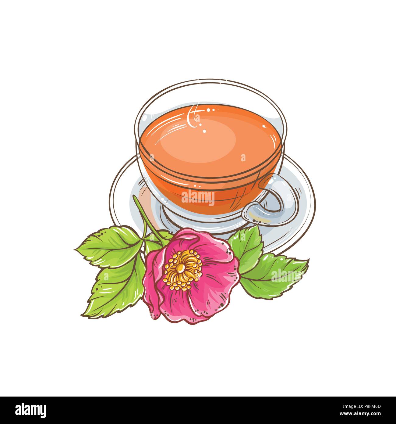 dog rose tea illustration on white background Stock Vector