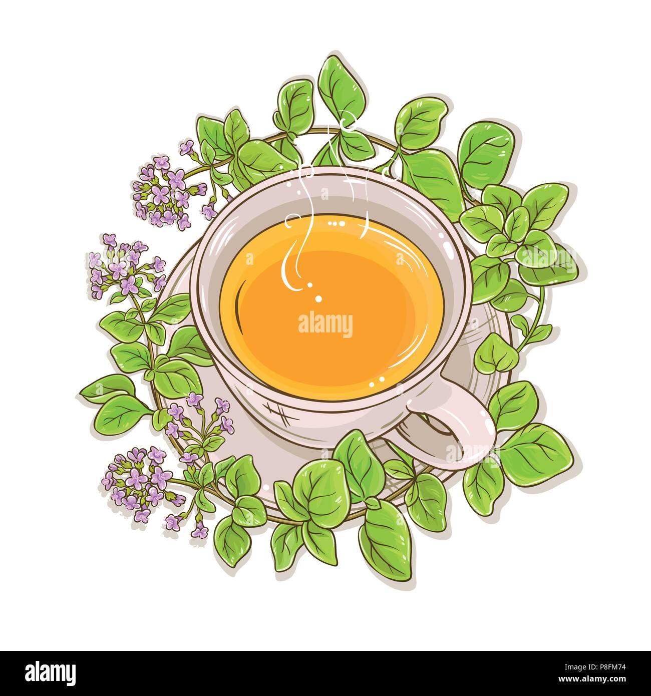 oregano herbal tea illustration on white background Stock Vector Image