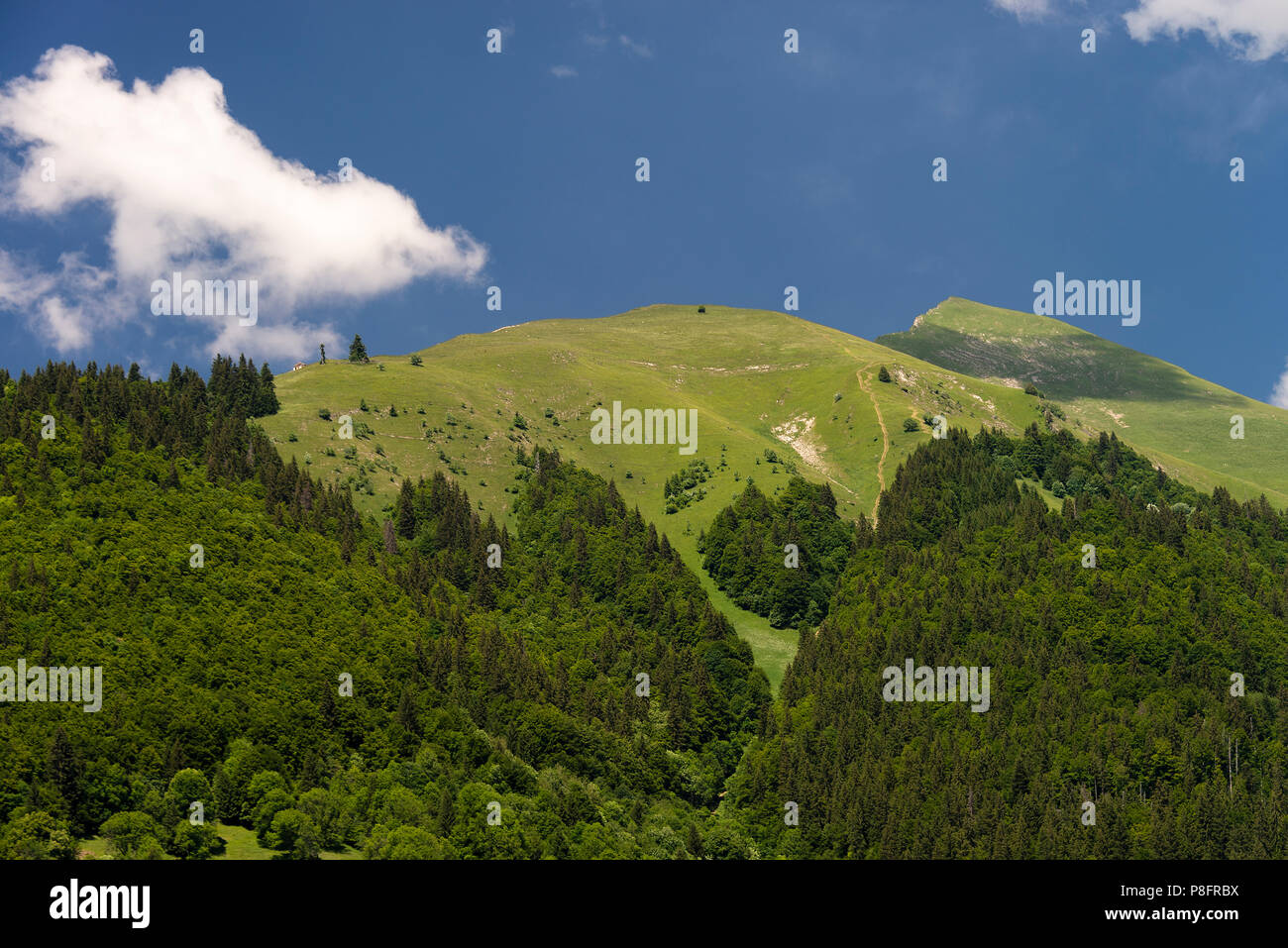 The Beautiful Pointe de Nantaux Mountain near Morzine with Pine Forest on its Slopeson a Summers Day Haute Savoie Portes du Soleil France Stock Photo