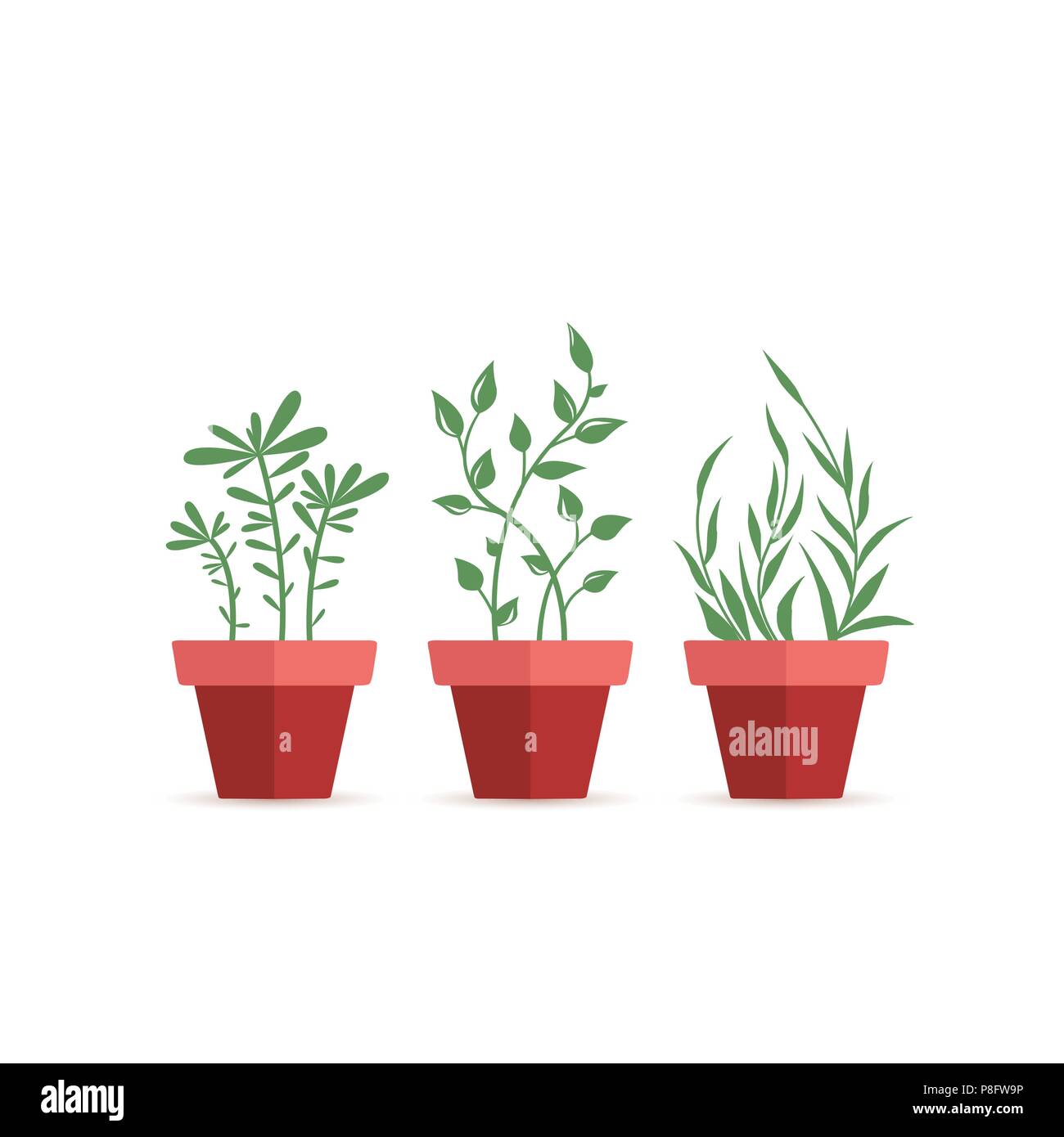 Vector Illustration Of Potted Plants Three Pot Decoration Garden