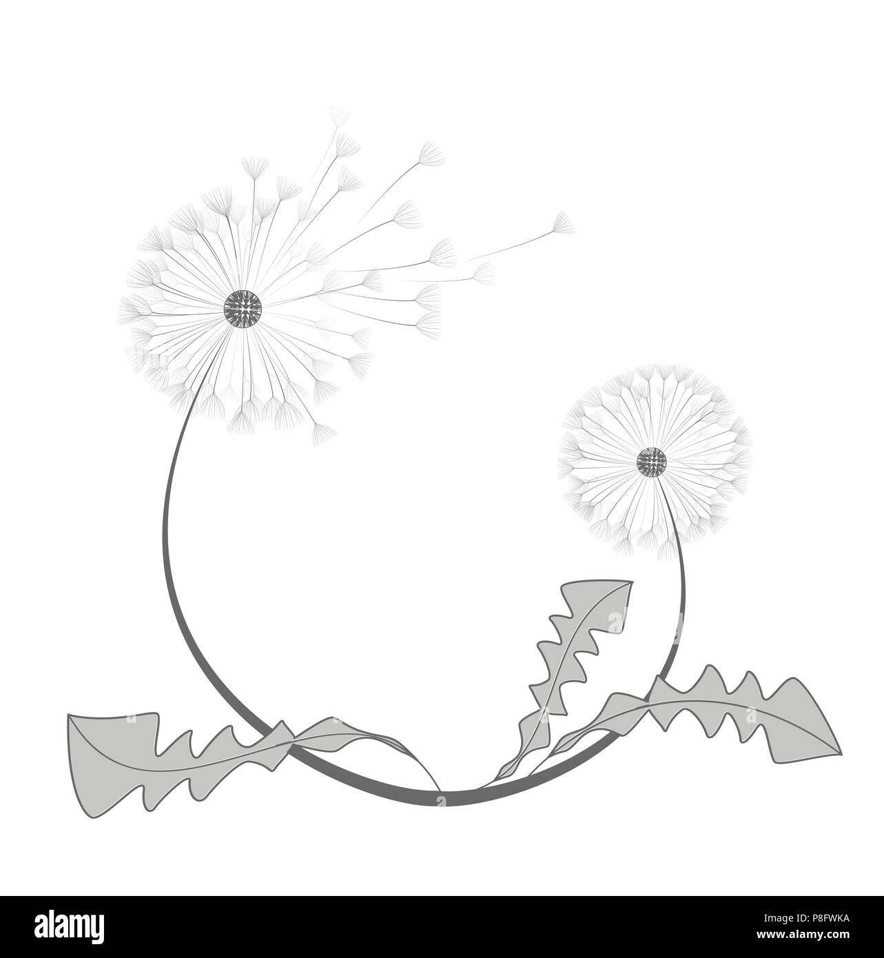 Vector illustration of dandelion flower in motion, floral frame Stock Vector