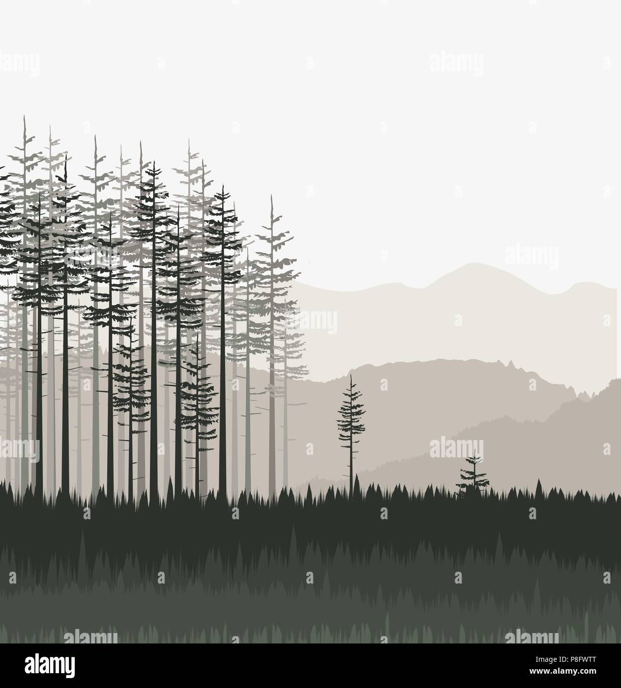 Vector illustration trees. Landscape background with forest Stock ...