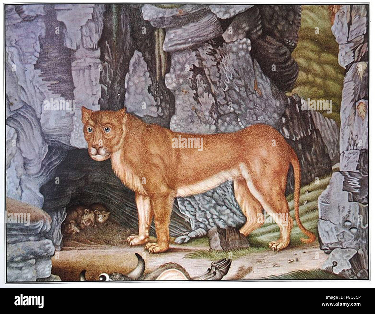 Lion Art History Painting High Resolution Stock Photography and Images