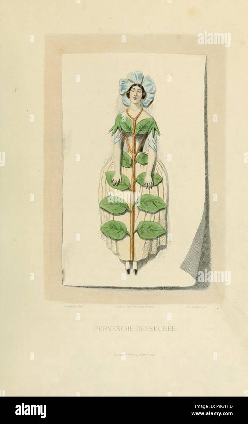 vintage flower fairy illustration Stock Photo