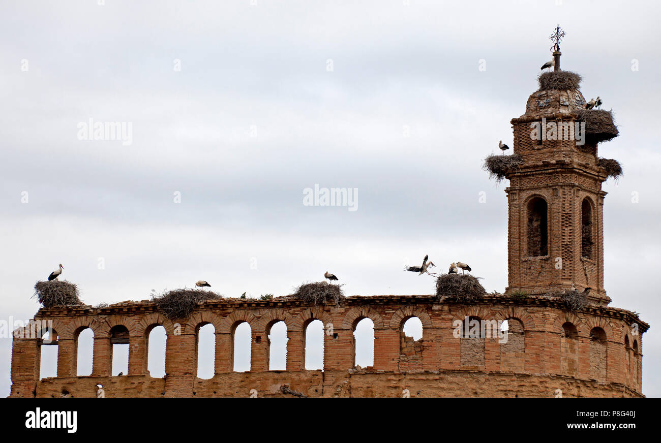 Caspe, storks nesting, Covent of Santo Domingo, Zaragoza province, Aragon Spain Europe Stock Photo