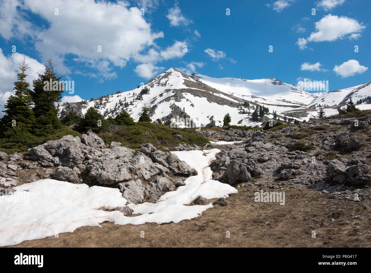 Mount Helmos, Kalavryta, Achaia, Peloponnese, Greece, Chelmos Stock Photo -  Alamy