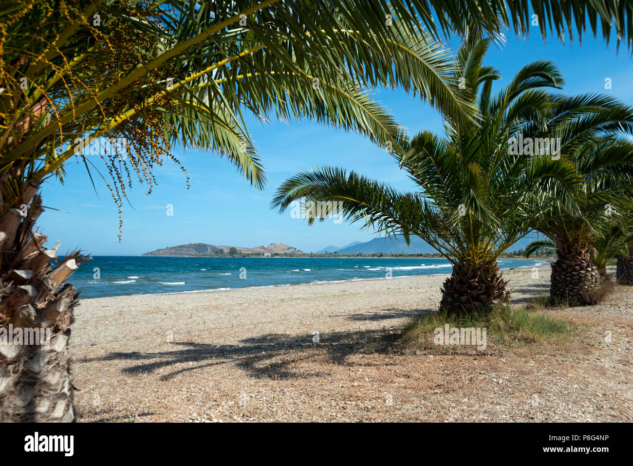 Palm beach, Paliochano Beach, Paralio Astros, Arkadia, Peloponnese, Greece Stock Photo