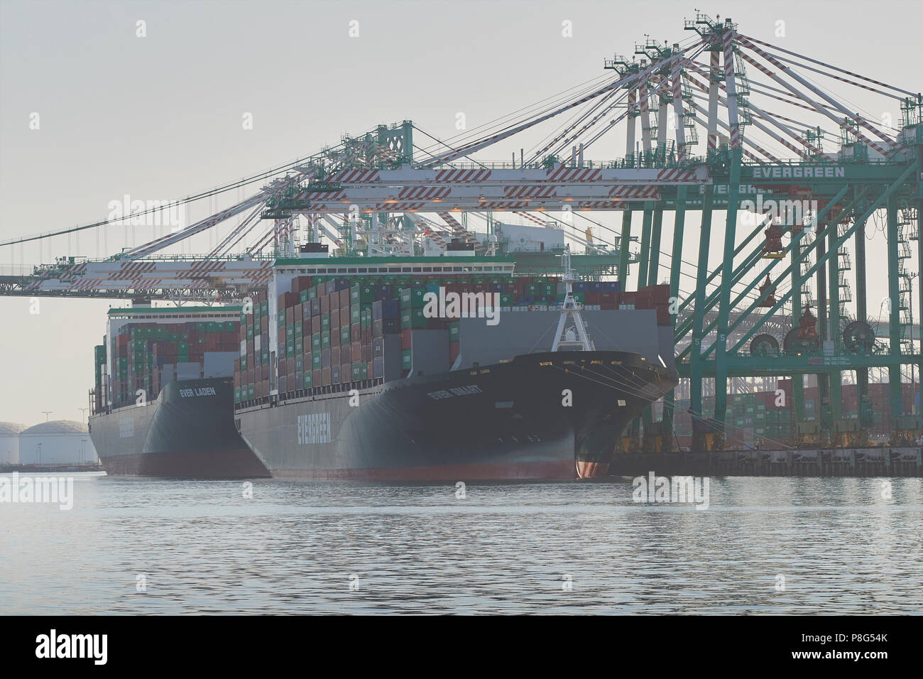 Evergreen Container Ships, EVER SMART & EVER LADEN, Loading And