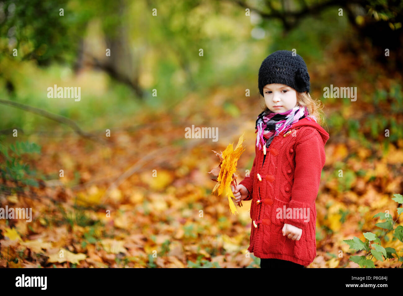 Little girl in a red coat at autumn holding leaves Stock Photo - Alamy