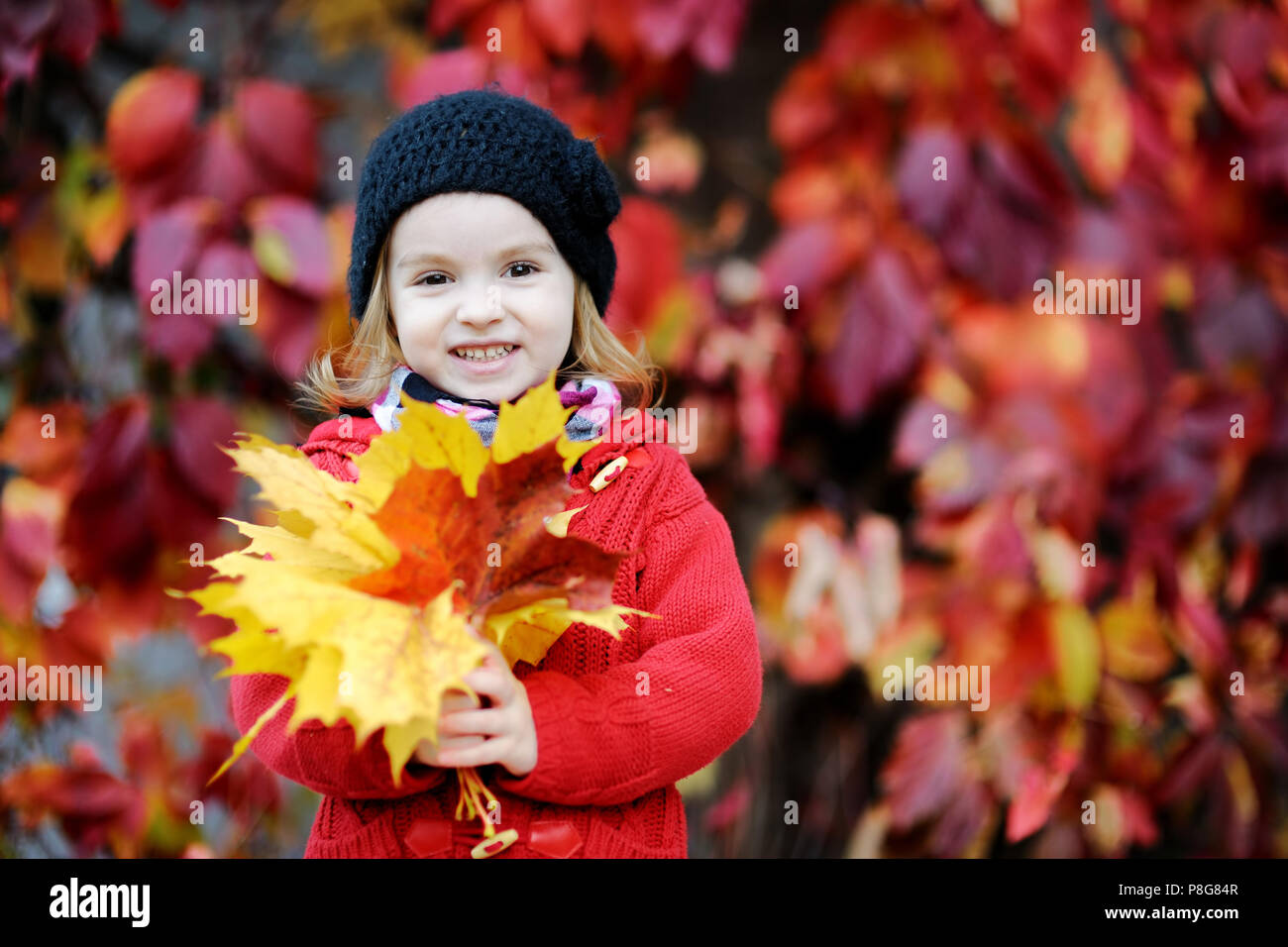 Little girl in a red coat at autumn holding leaves Stock Photo - Alamy