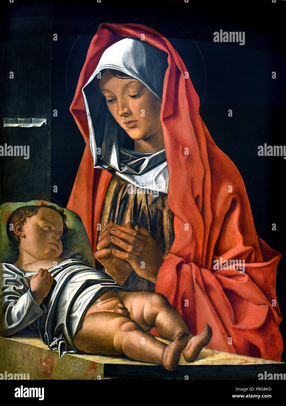 Madonna col Bambino by Francesco Bonsignori  1460-1519), Madonna and Child, 1483, oil on board,  Italy, Italian. Stock Photo