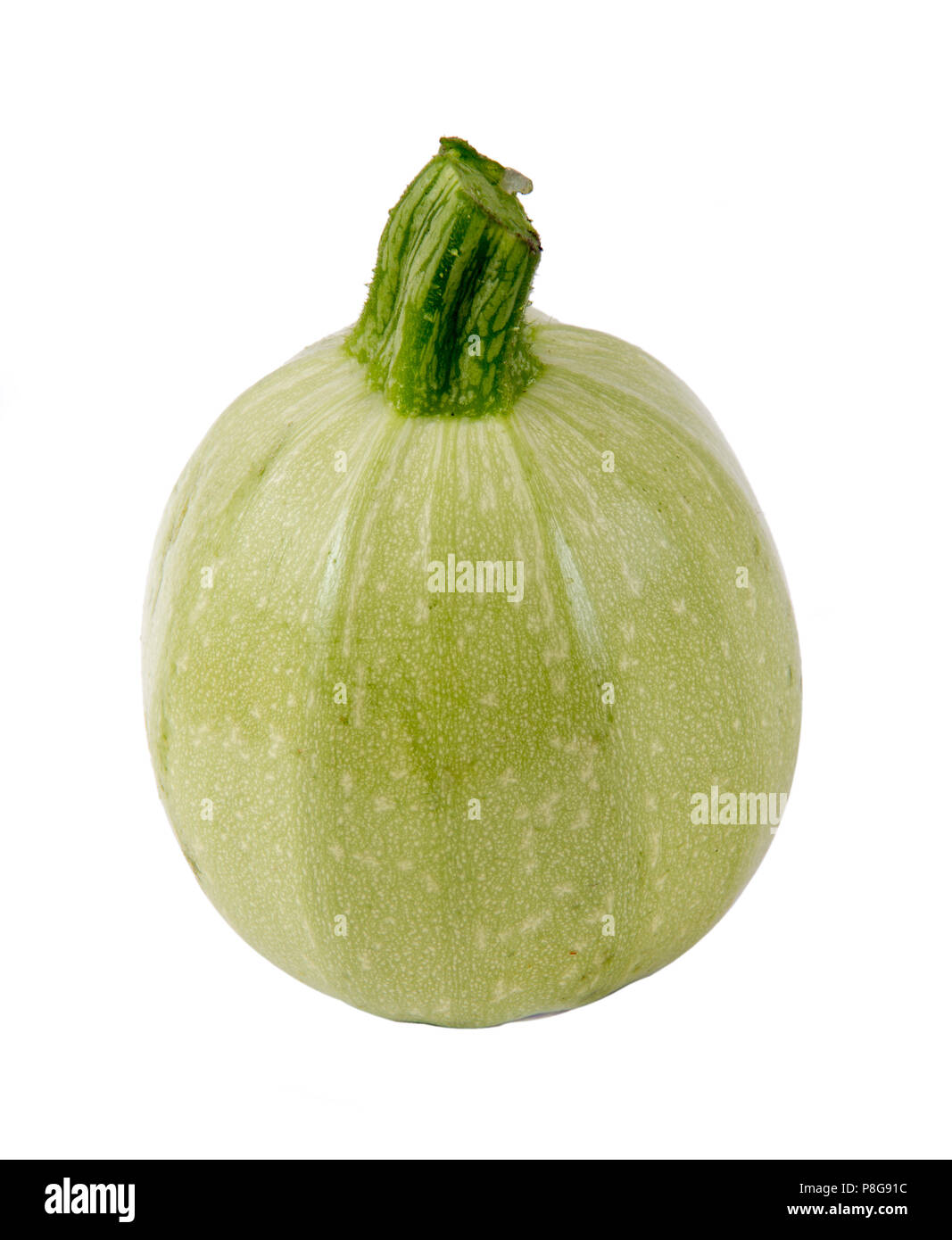 eight ball zucchini squash courgette over white background Cucurbita