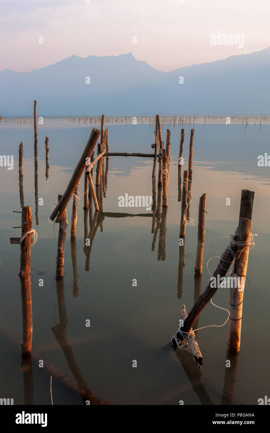 Bamboo poles with fishing nets in river in tropical country · Free Stock  Photo