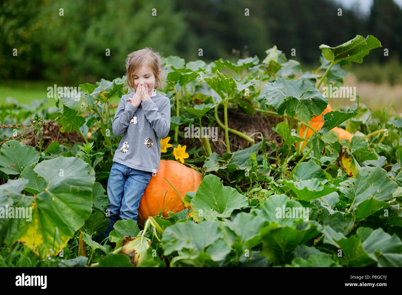 Cute little girl sitting on a pumpkin in a pumpkin patch Stock Photo ...