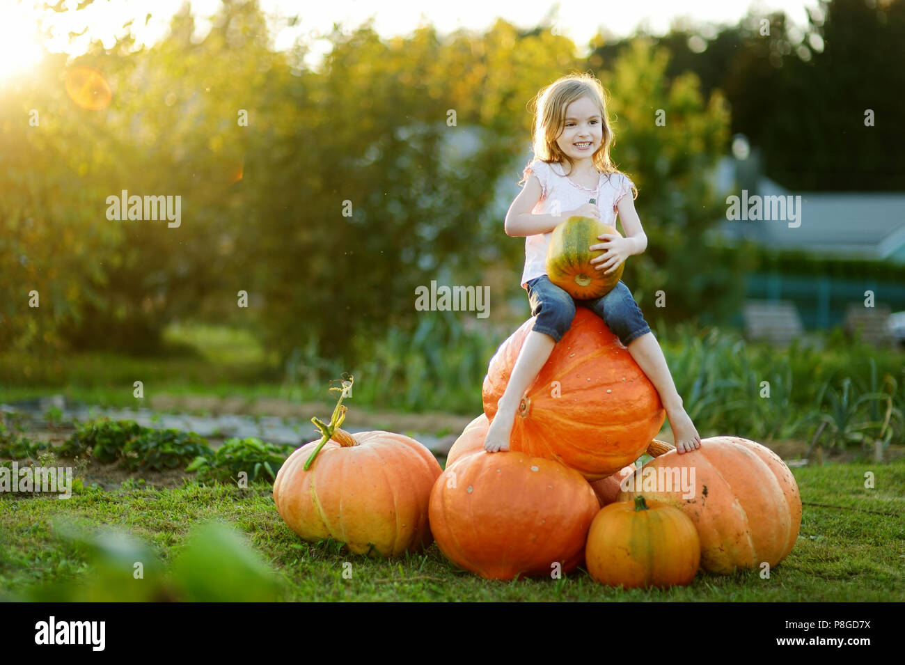 Adorable little girl embracing big pumpkin on a pumpkin patch Stock ...
