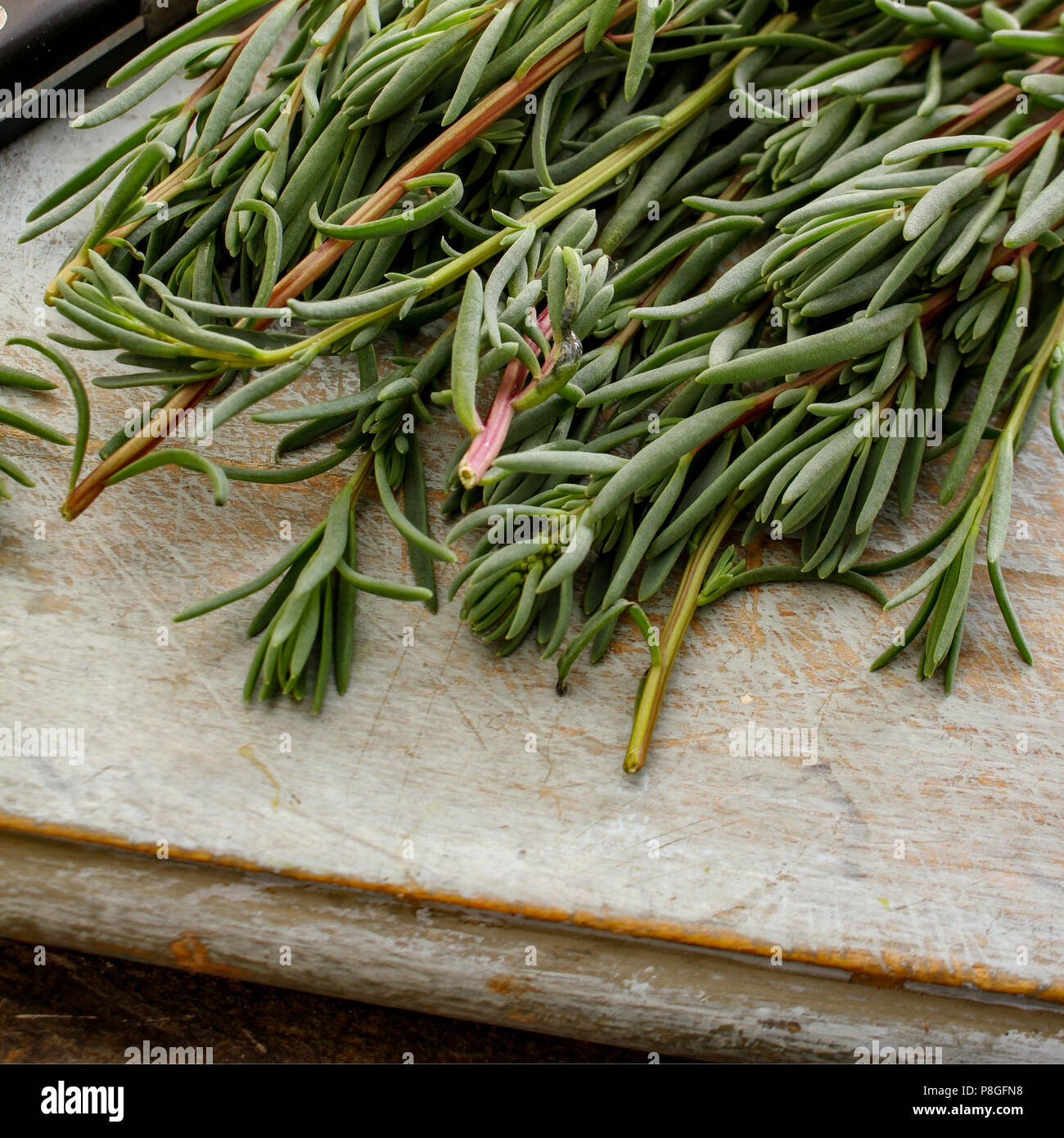coastal herbs sea rosemary Stock Photo Alamy