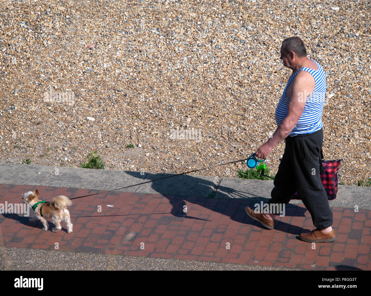 Dog walking close to the beach at Eastbourne Stock Photo Alamy